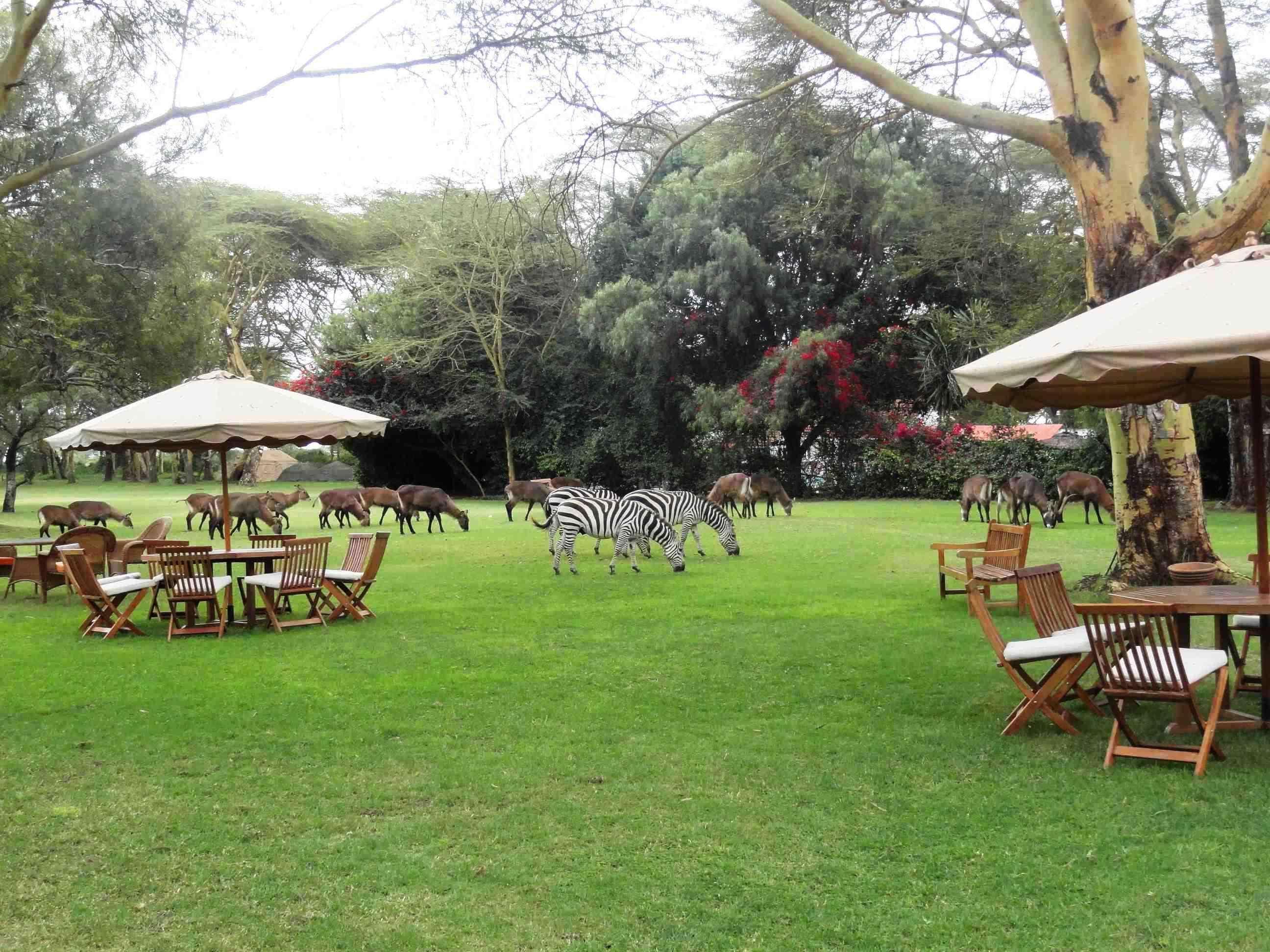 Muthu Lake Naivasha Country Club, Naivasha Karagite Экстерьер фото